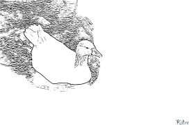 હંસ છાપવા યોગ્ય રંગીન પૃષ્ઠો